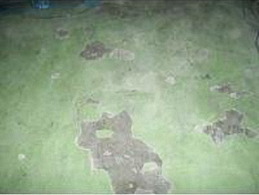 滄晟地坪漆_廠房地坪為何要進(jìn)行翻新的五大項(xiàng)！